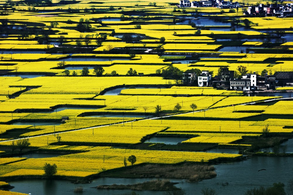 戶外活動 | 蕪湖峨橋響水澗賞花徒步 |戶外運動|兩步路戶外旅遊約伴網