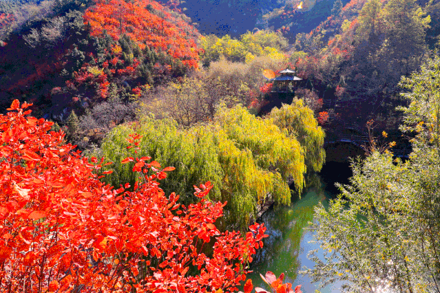 639_426gif 动态图 动图