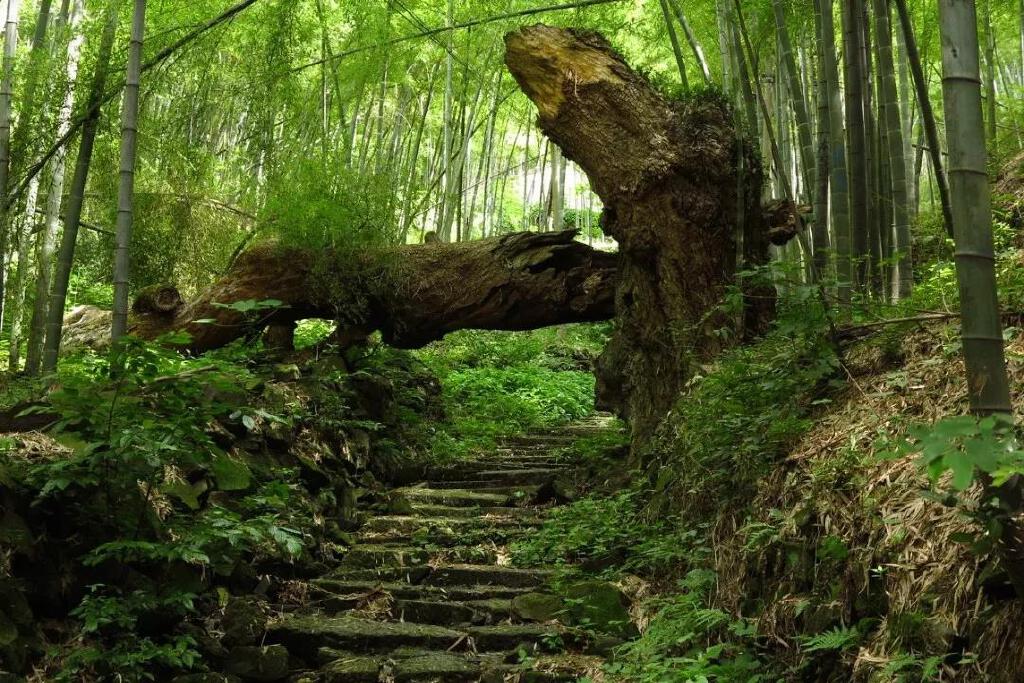 微信图片_20190228110304