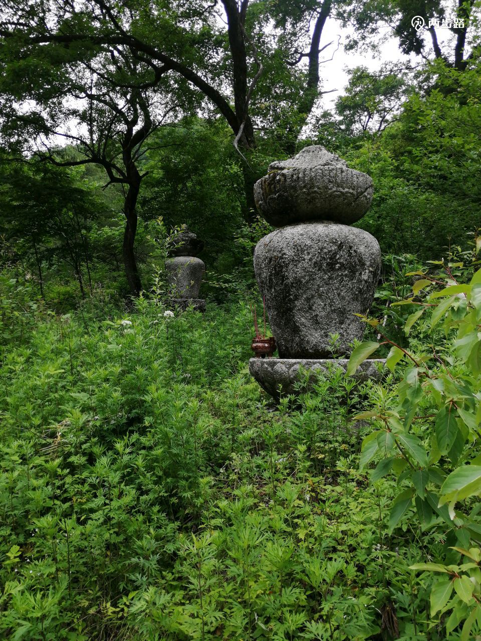 寻访终南山八卦顶,隐修人张至顺道长的茅棚