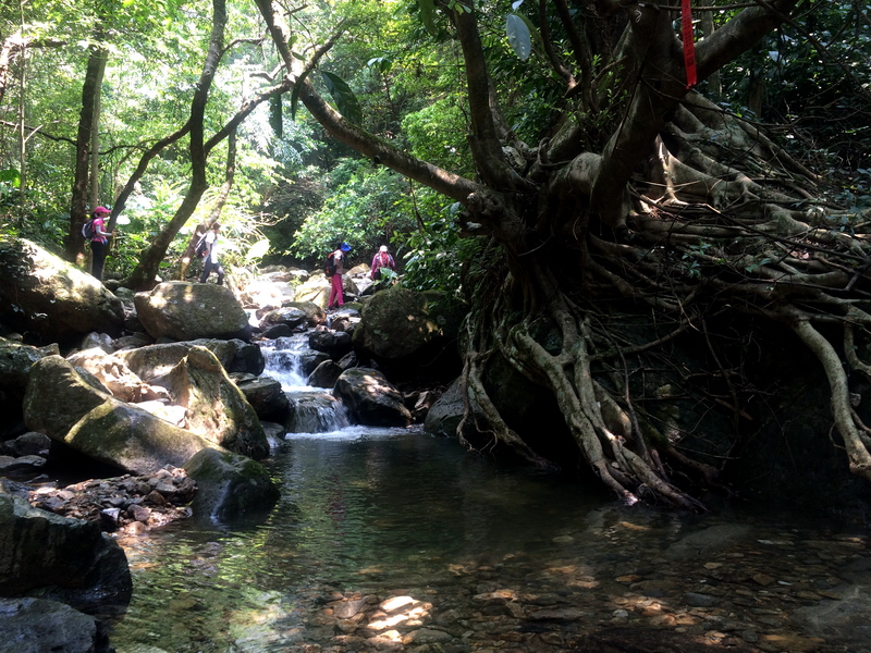 梧桐山老虎涧山谷溯溪