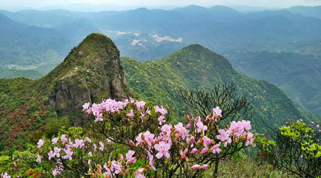 17】广州从化鸡枕山:峰顶形如鸡冠,溪清谷秀花香,原始竹林之美