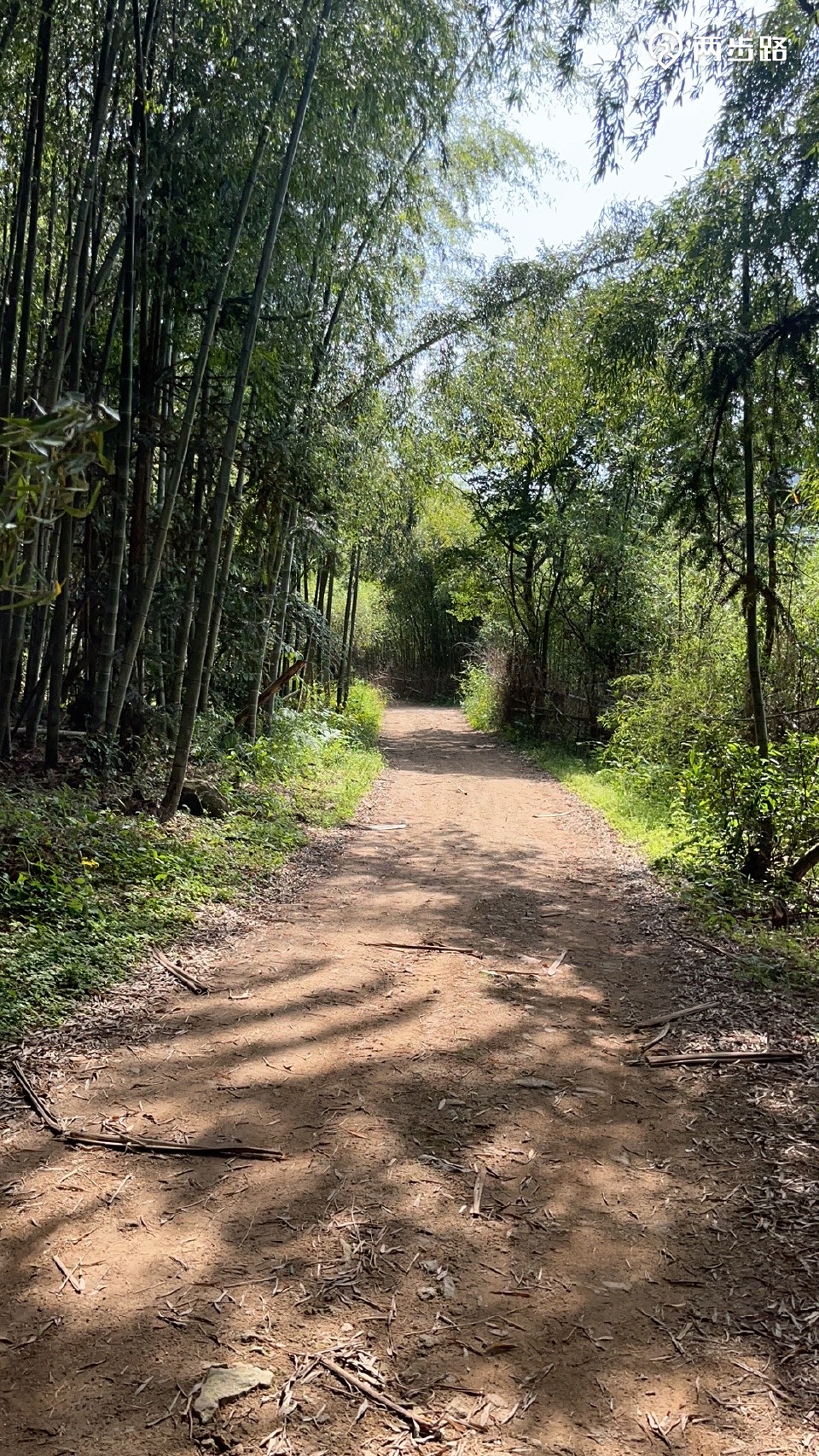 岭南古道一塔沙岭东环线 韩岭老街