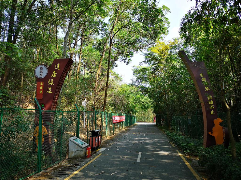 4月17周六龙华大浪观澜绿道徒步