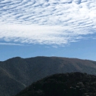 水牛_进威