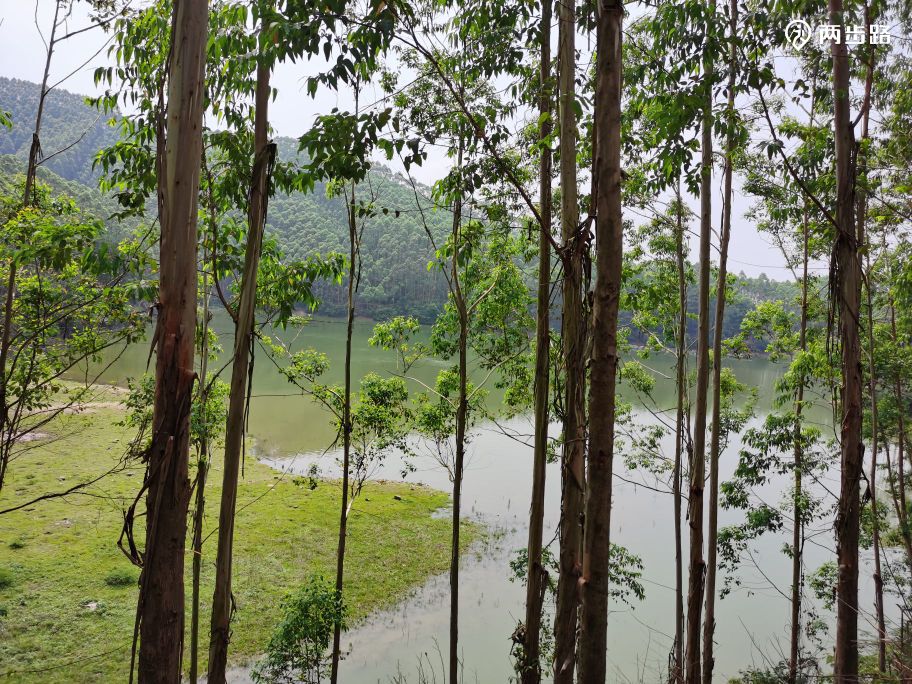 2020-05-24 08:59南宁宾阳县黎塘镇黄茶村相思潭