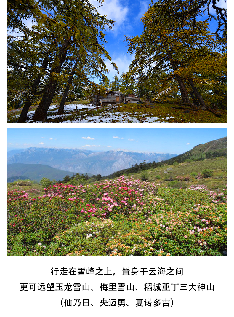哈巴2019_08