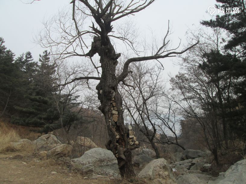 莲花山彩石溪冰瀑最短线路休闲游--冻冻台天瀑