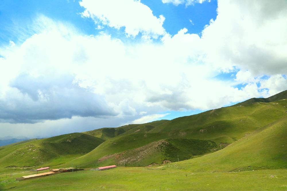 timg (2)