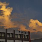 维纶斜杠