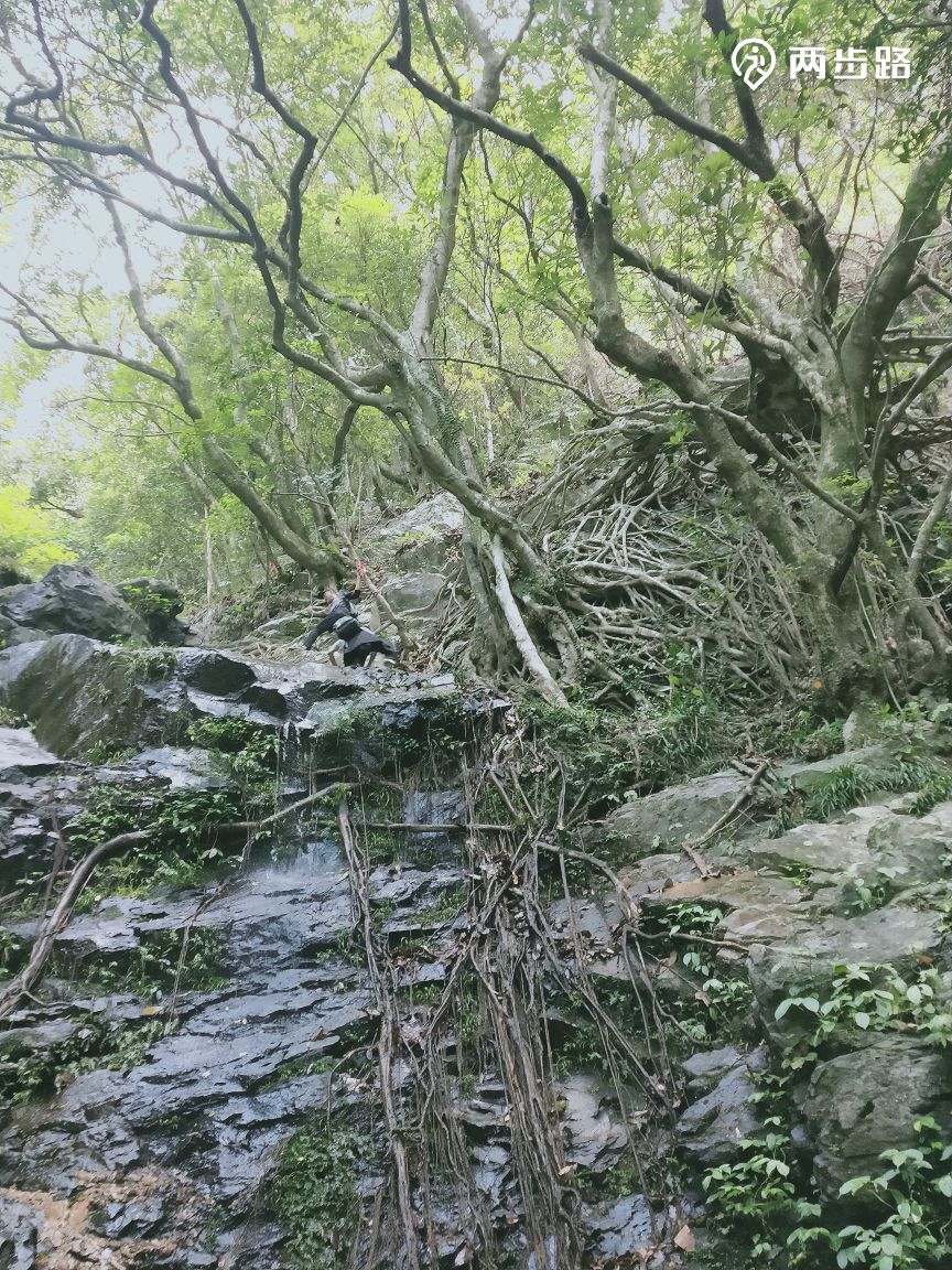 户外活动 | 梧桐山燕子崖 |户外运动|两步路户外旅游约伴网
