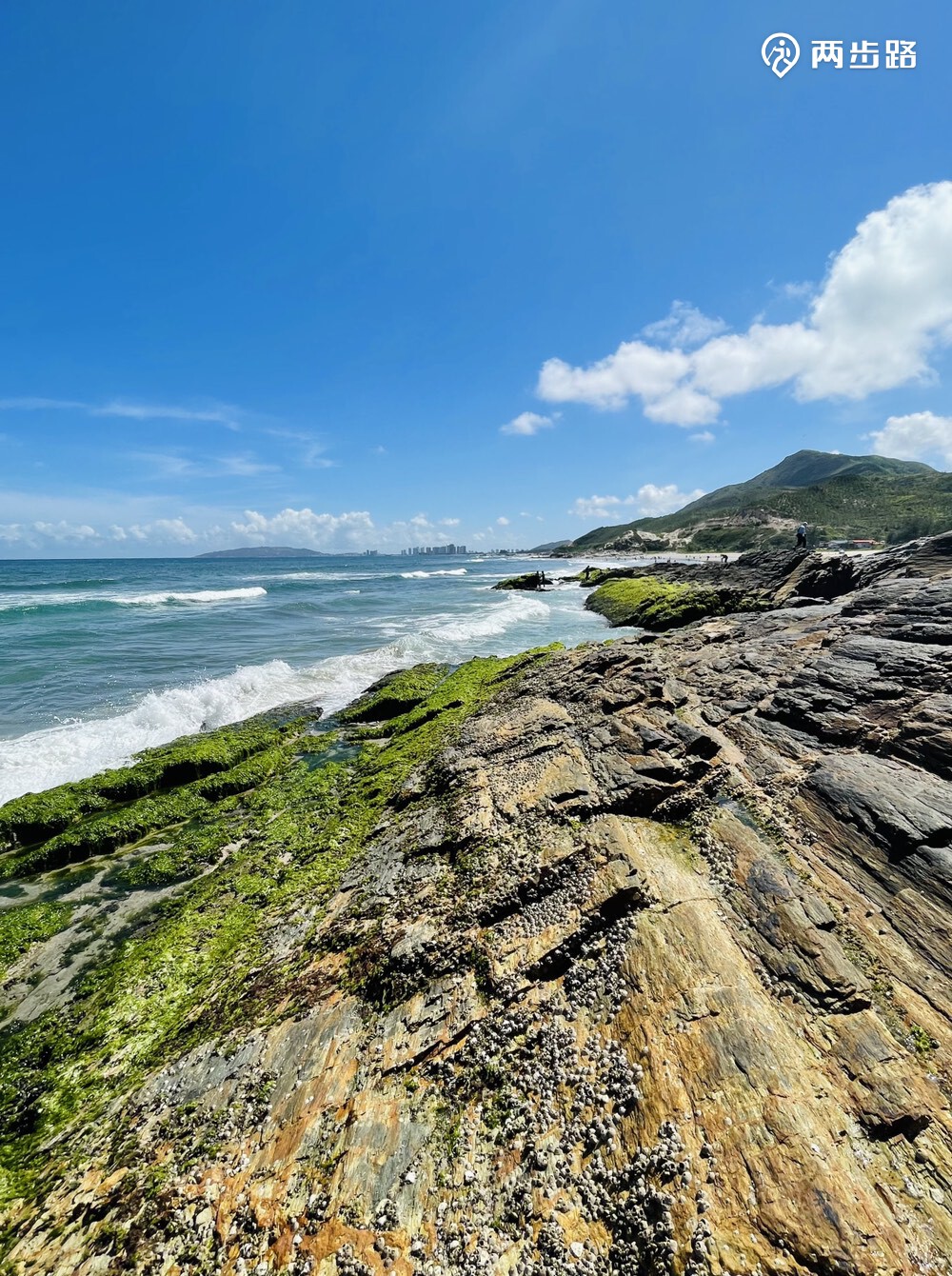 惠东黑排角周日626