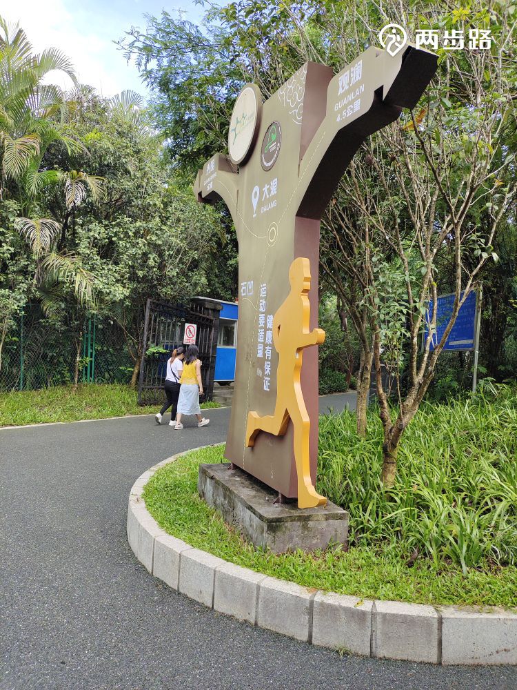 户外活动 | 茜坑绿道→大浪绿道→大顶岭绿道(此处有光明虹桥入口)