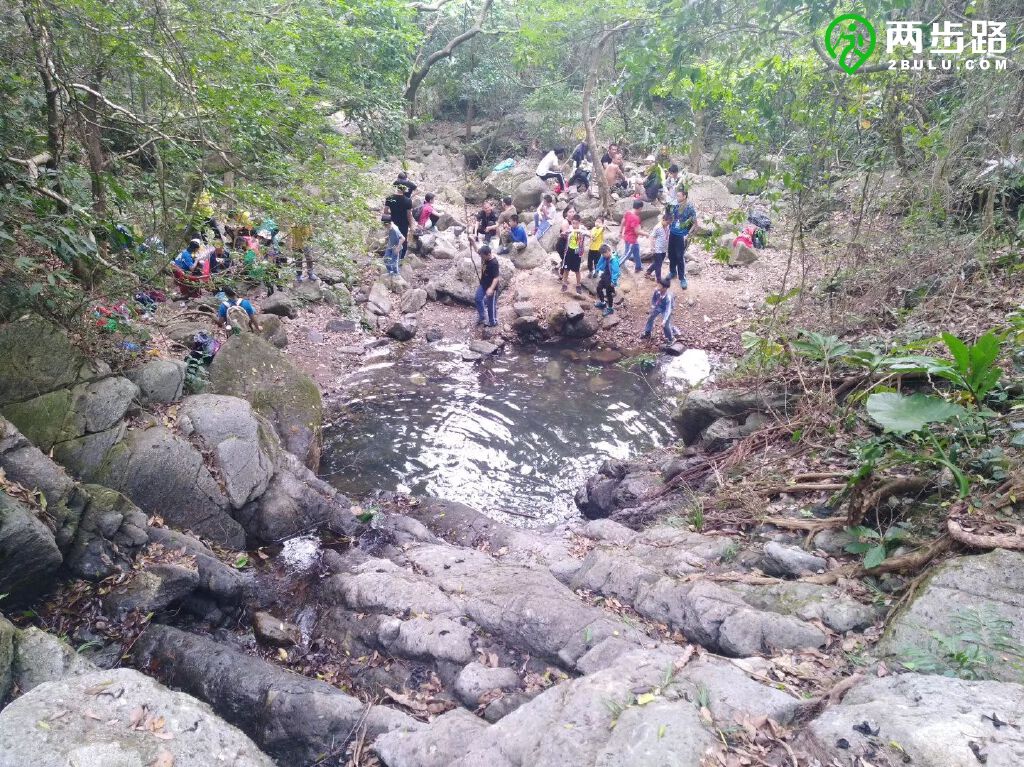 梧桐山老虎澗鳥巢打卡點