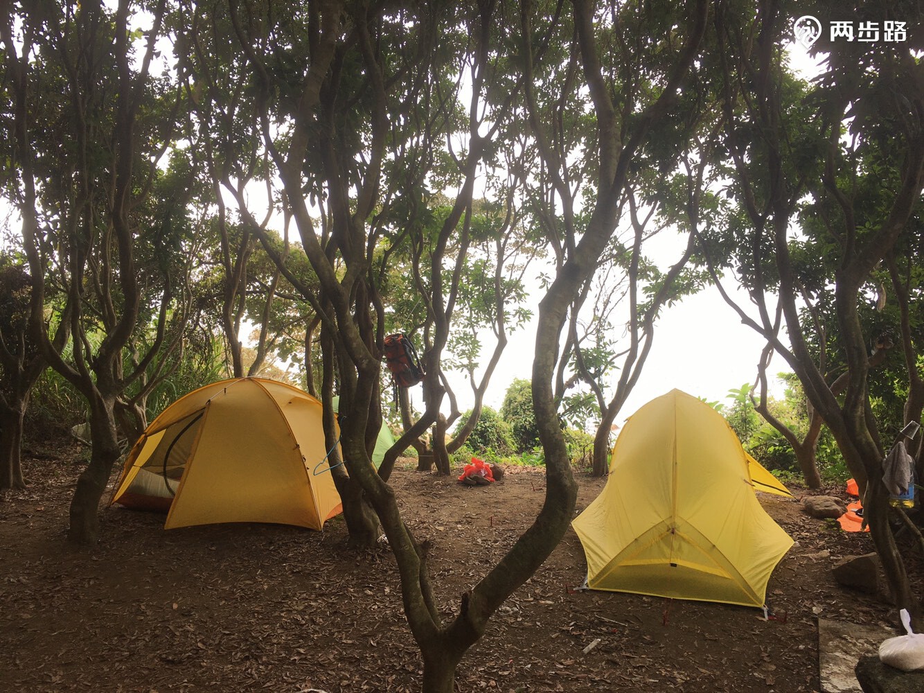 南澳鹅公湾附近休闲露营已有6人