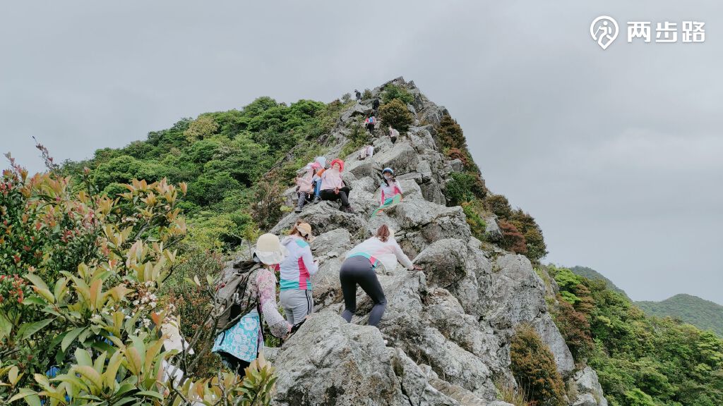 活动模板排牙山位于深圳市龙岗区大鹏镇,为大鹏半岛北岛的主要组成
