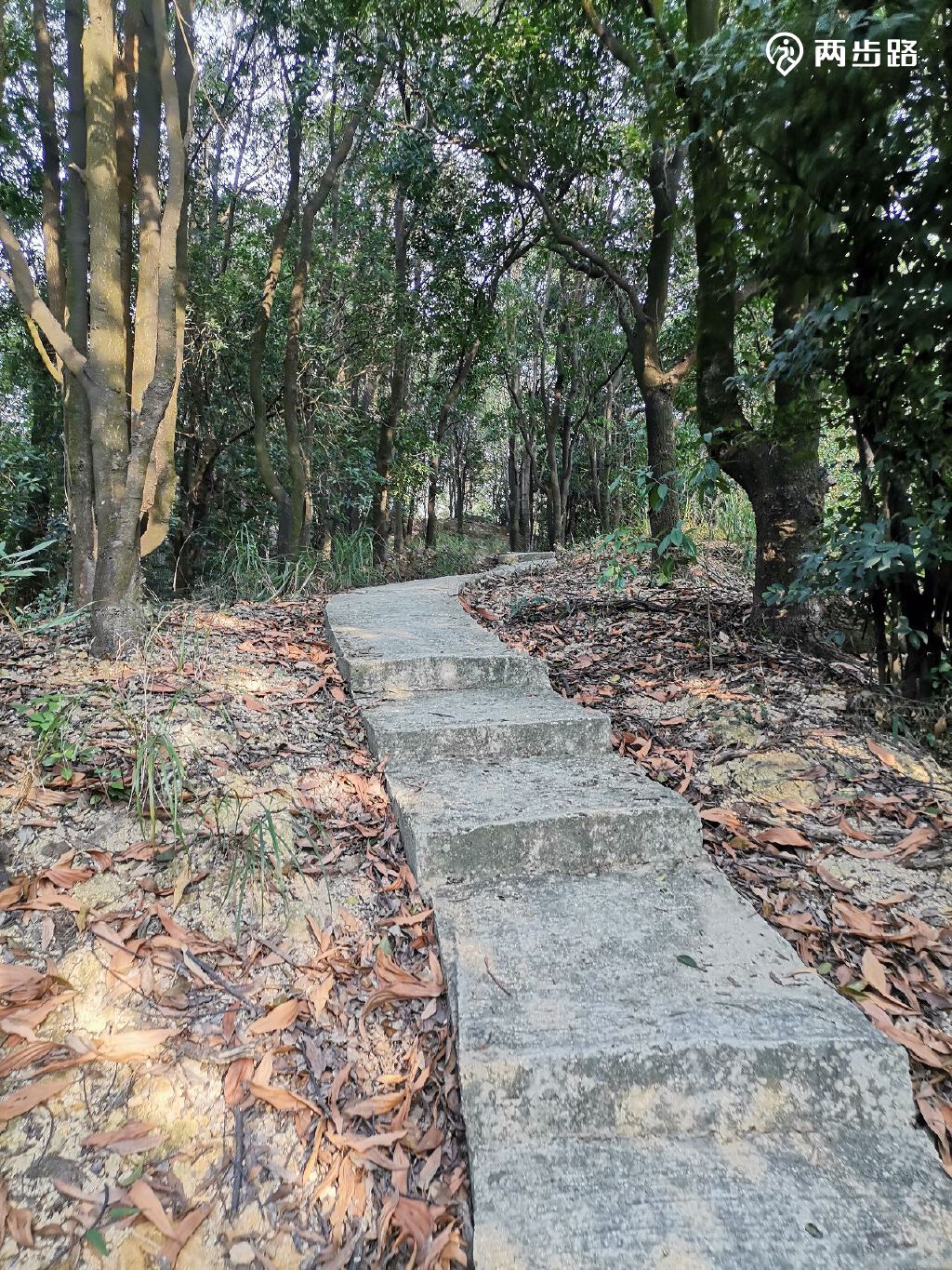 周二塘朗山土路慢摇2828