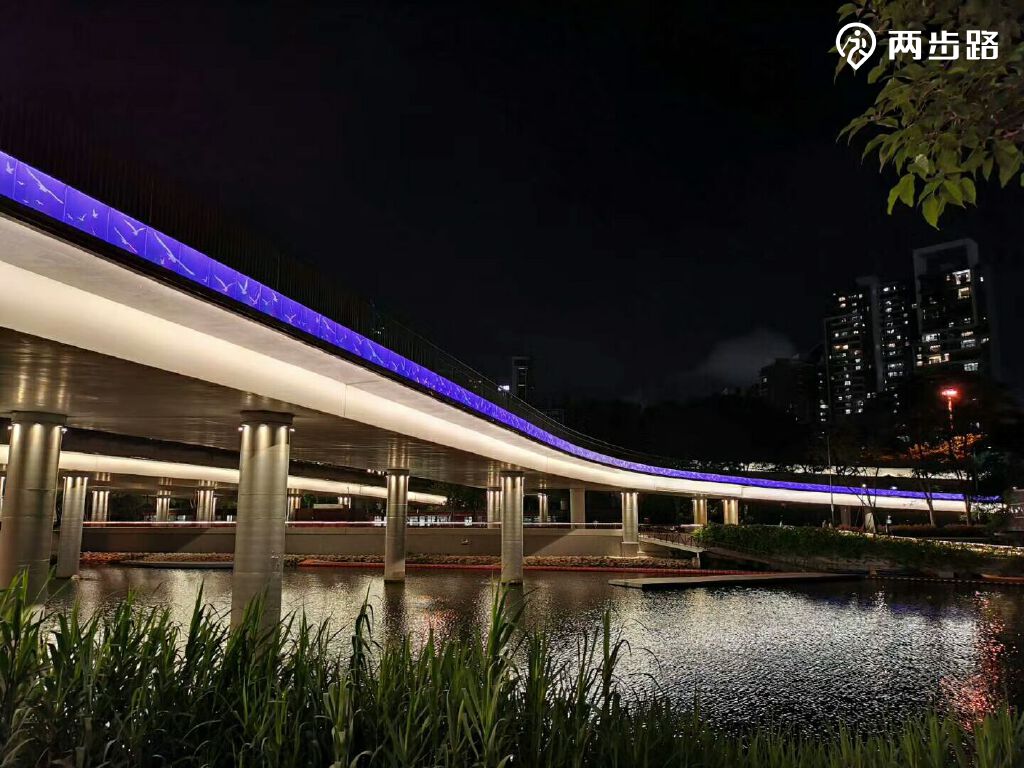 深圳湾公园大沙河夜徒