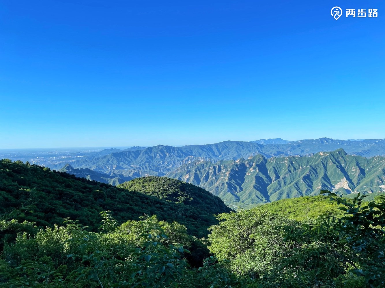 这里山黛天青色,日出东方在等你这里繁花盛开,桑葚野杏等你摘这里有