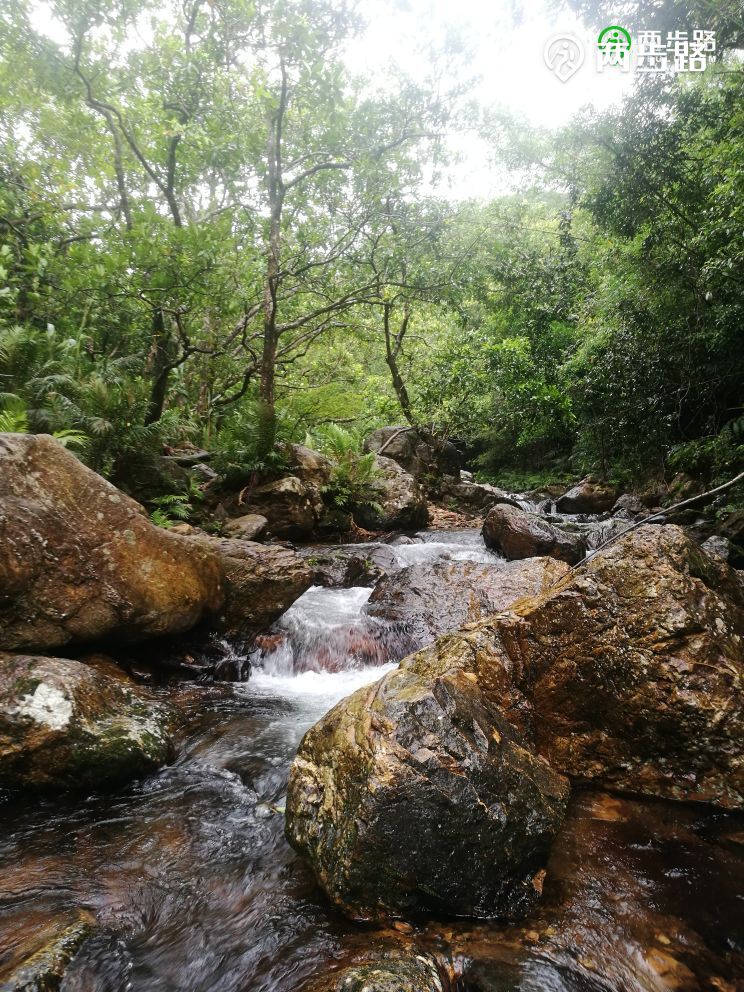 绝情谷情人谷喝茶泡潭