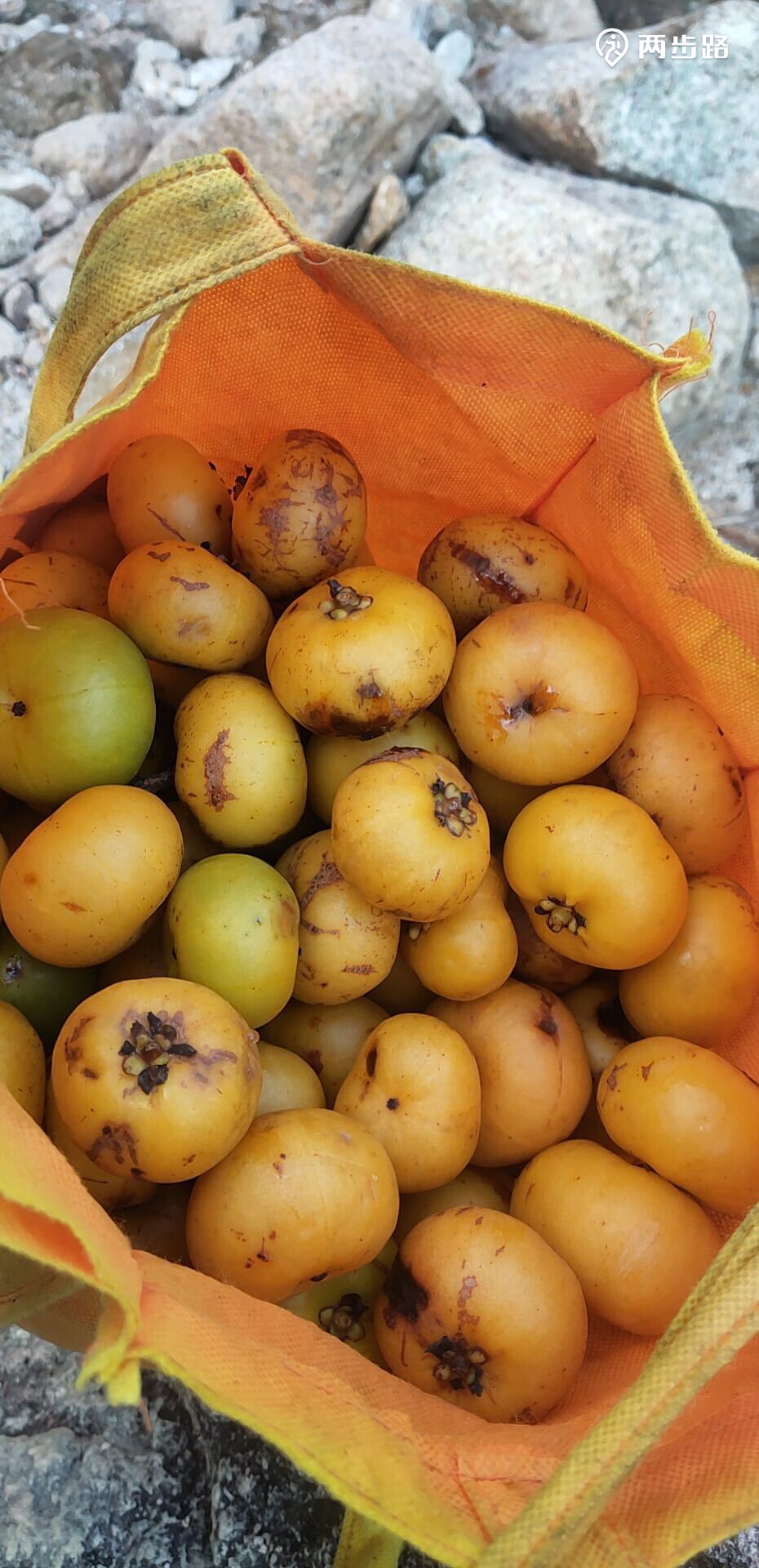 户外活动 | 龙潭 狮子头(泡潭 溯溪 农家乐 野山竹 登山) |户外运动