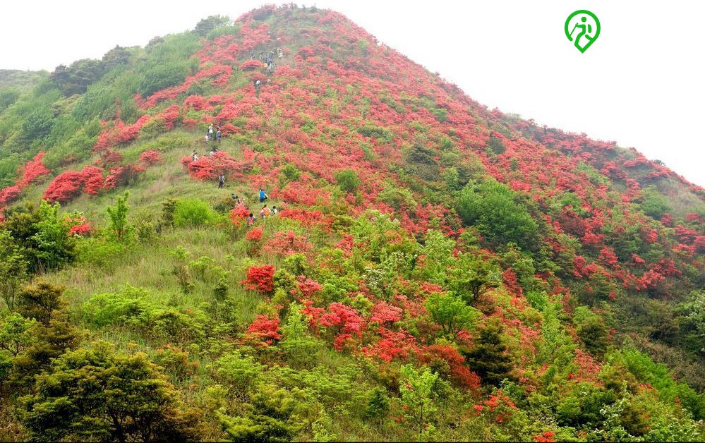 廣州第六高峰通天蠟燭