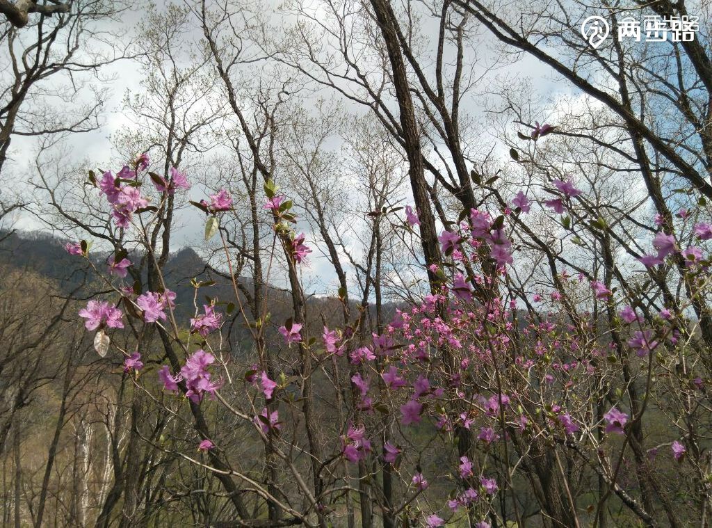 户外活动 | 吉林代王砬子穿越宝贝砬子(两山穿越) |户外运动|两步路