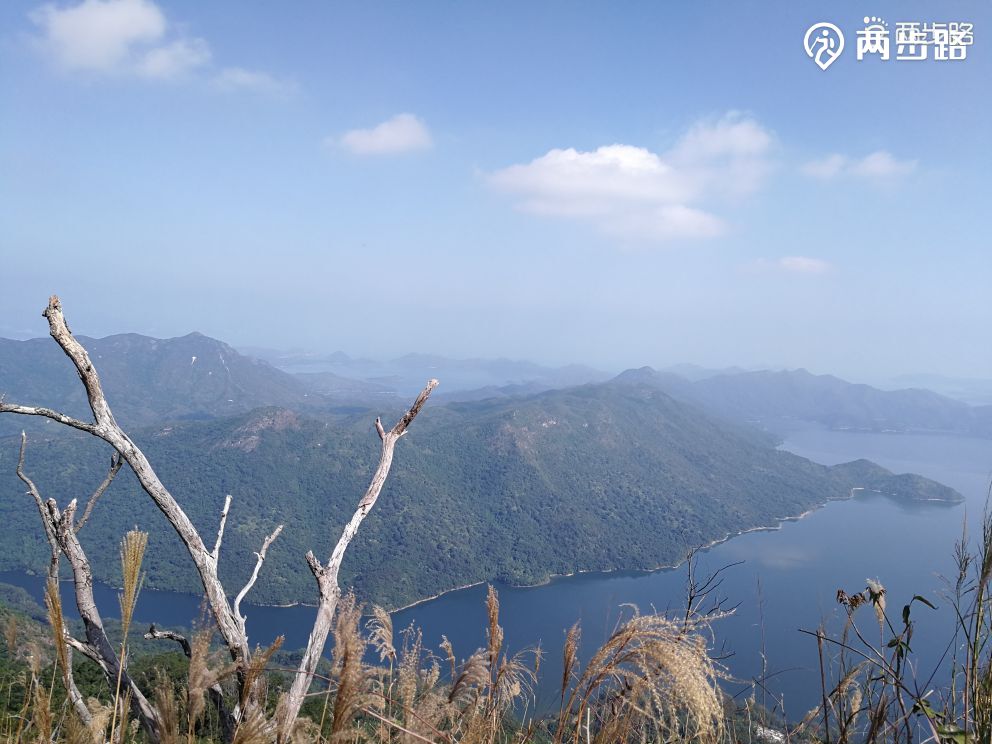 行走卫奕信径八仙岭郊野公园