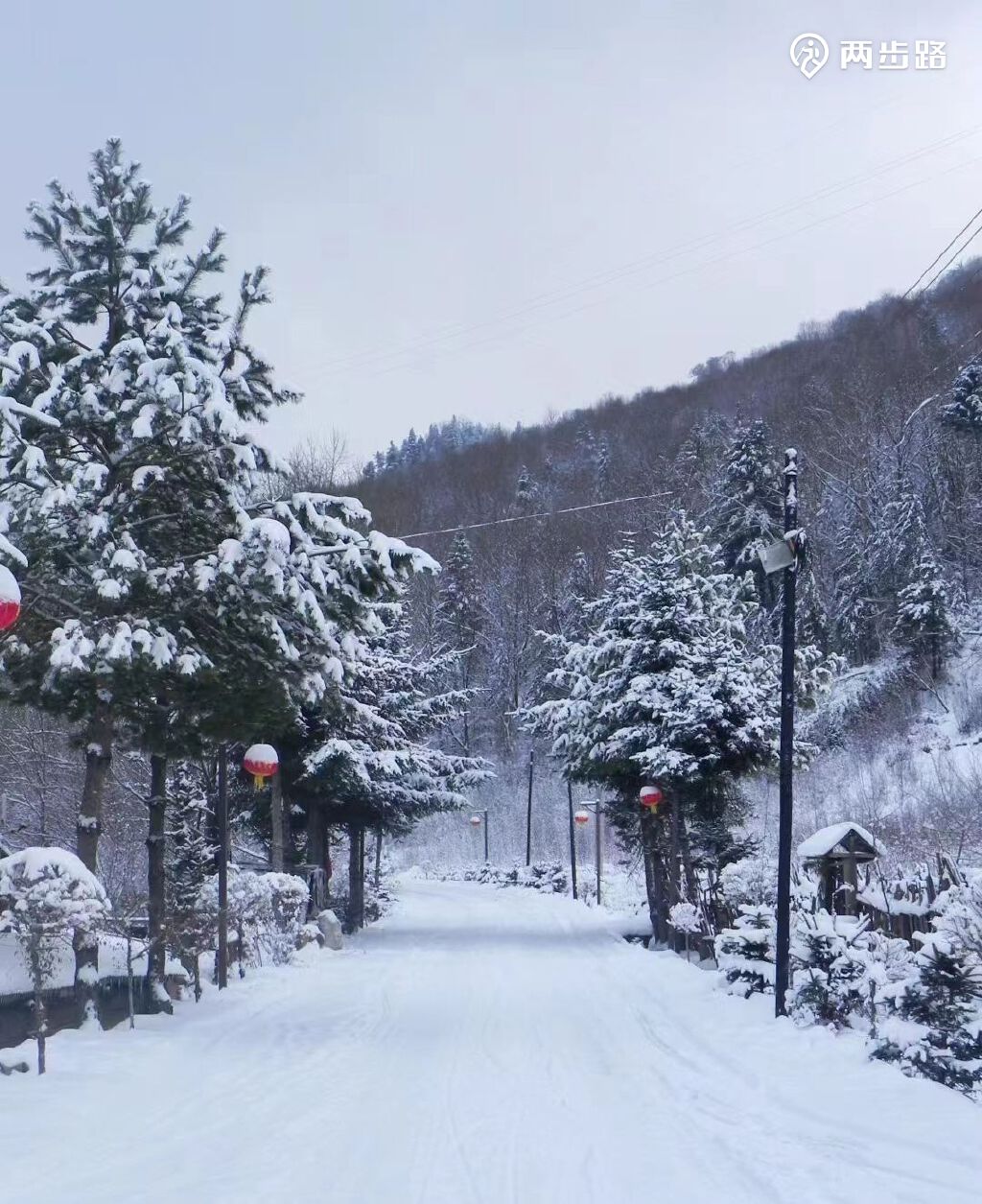 户外活动 | 梦幻哈尔滨雪乡延吉长白山雾凇岛雪景玩个够约伴了 |户外