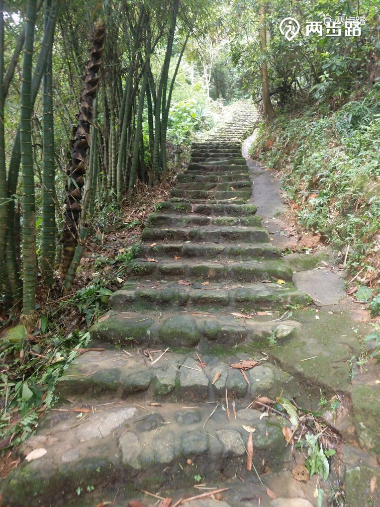 例如:全程23公里,计划8小时完成到罗浮山酥醪观后,从千年古道上山