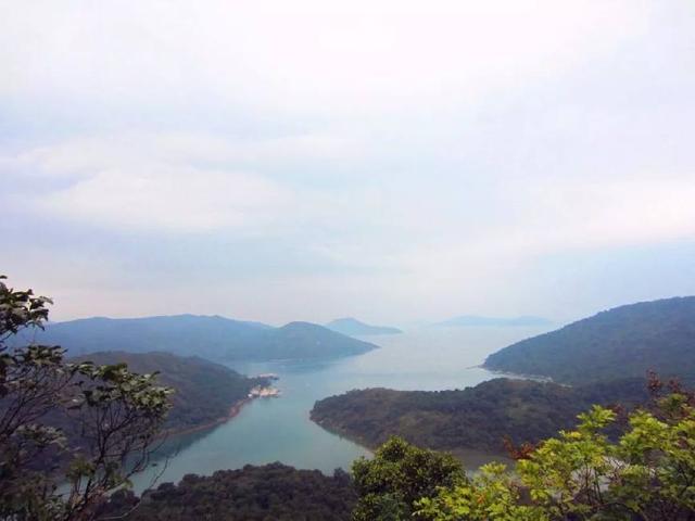 蚺蛇尖麦理浩径横跨香港24个郊野公园中的8个,沿途要翻越二十多座山头