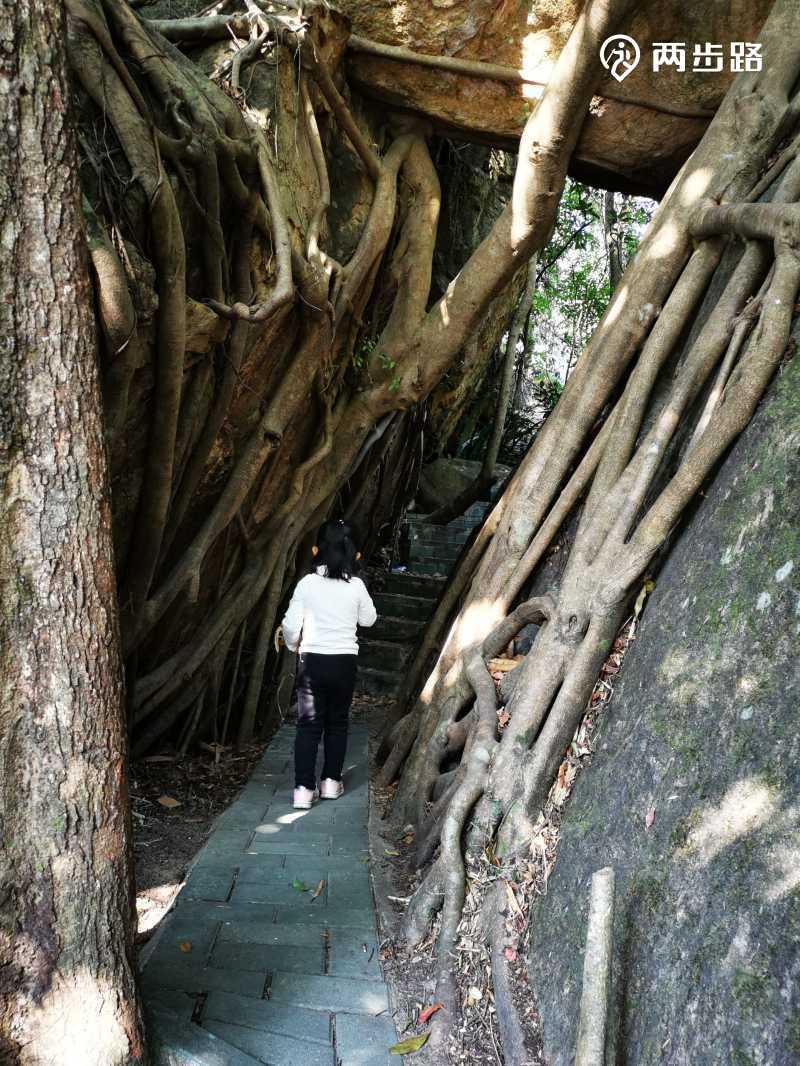 大岭山森林公园徒步
