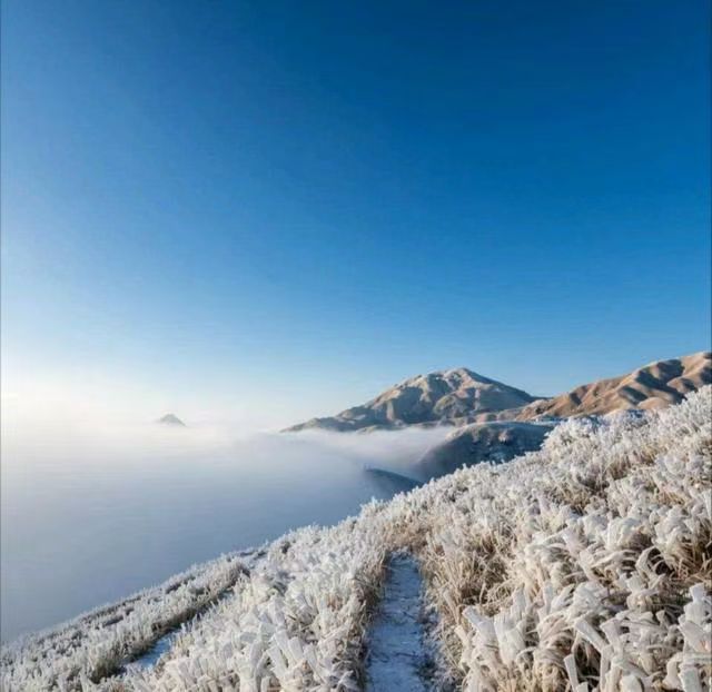 本次路線:(反穿越):龍山村——發雲界——金頂(海拔1918m)—索道下山