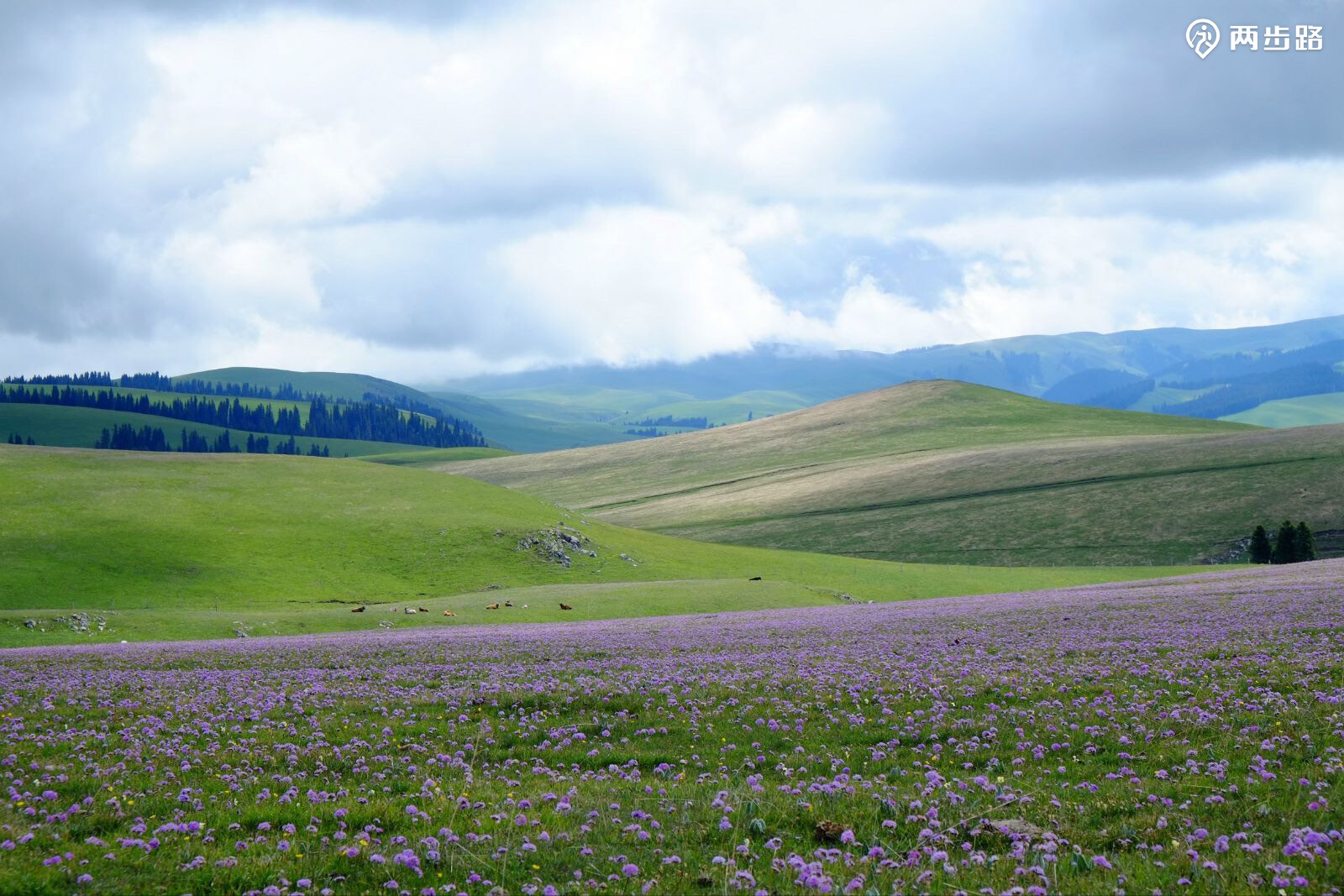 户外活动 | 喀拉峻大草原 |户外运动|两步路户外旅游约伴网