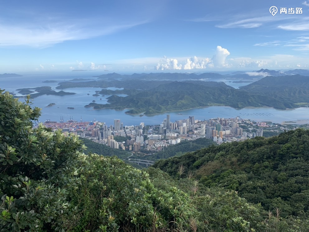 大梧桐-碧桐道-壹海城灯塔图书馆(海山地铁站)【强度指数】