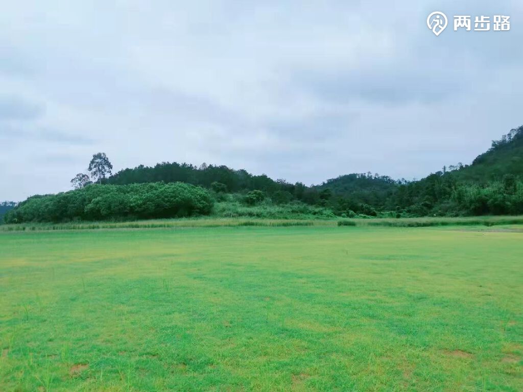 惠州绝美大草坪露营野炊篝火