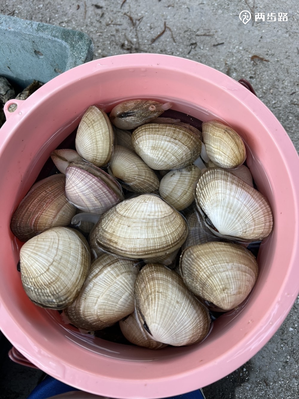 纯aa(户外风险自担,买好保险),欢迎各位打鱼佬,无户外经验者小白勿入