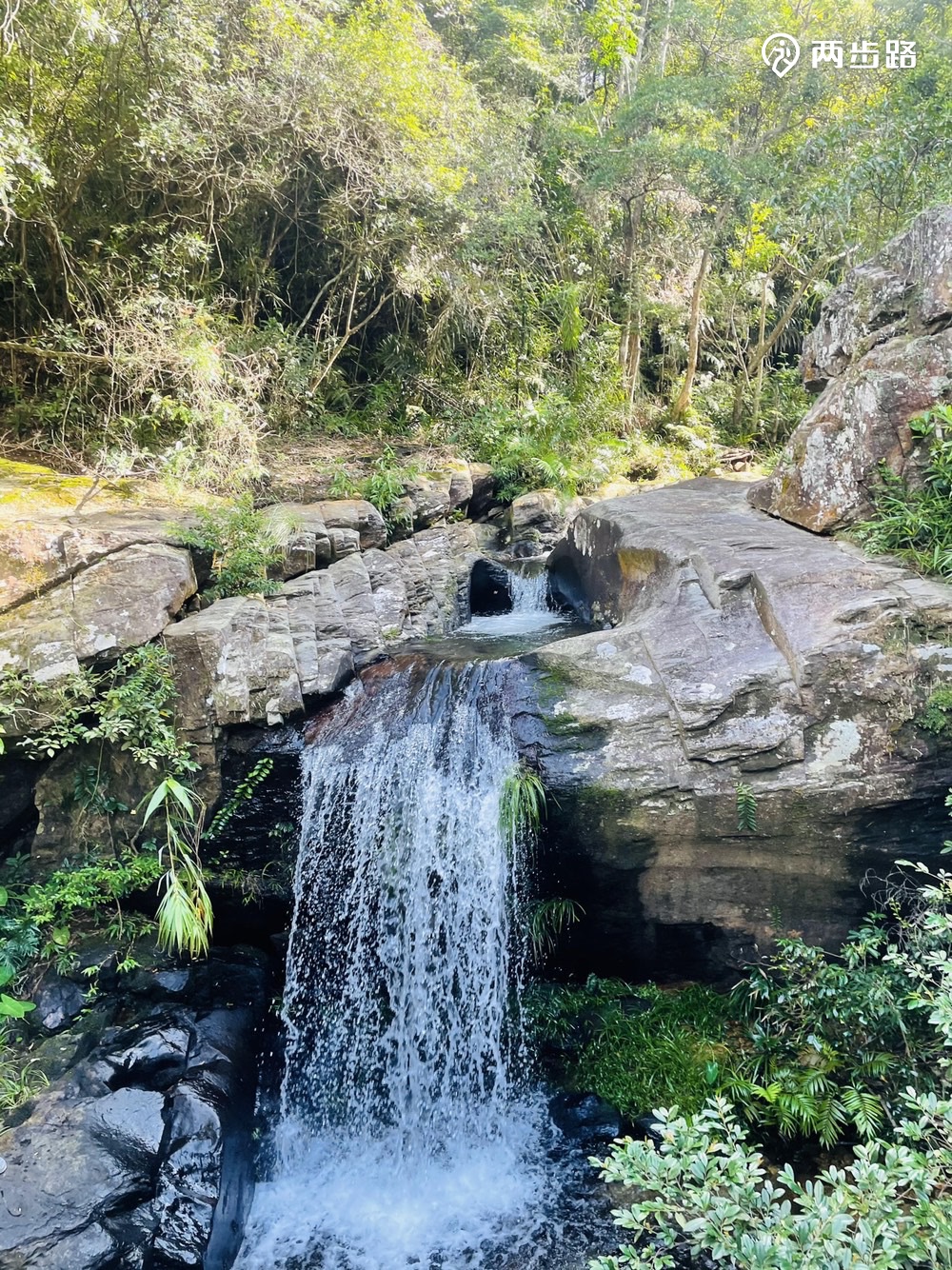 对活动目的进行简单的介绍惠东森木坑,天然氧吧,绝美白水寨瀑布,让人