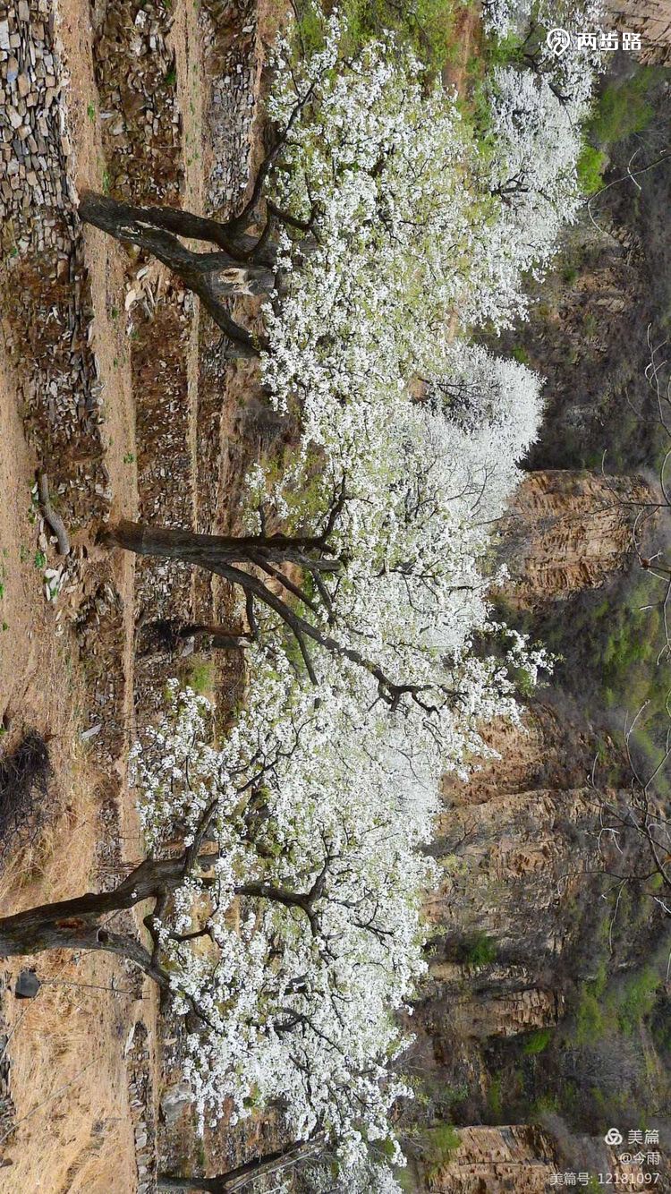 活动介绍:大滩村在北京房山的一个深山里,那里还很原始古朴.