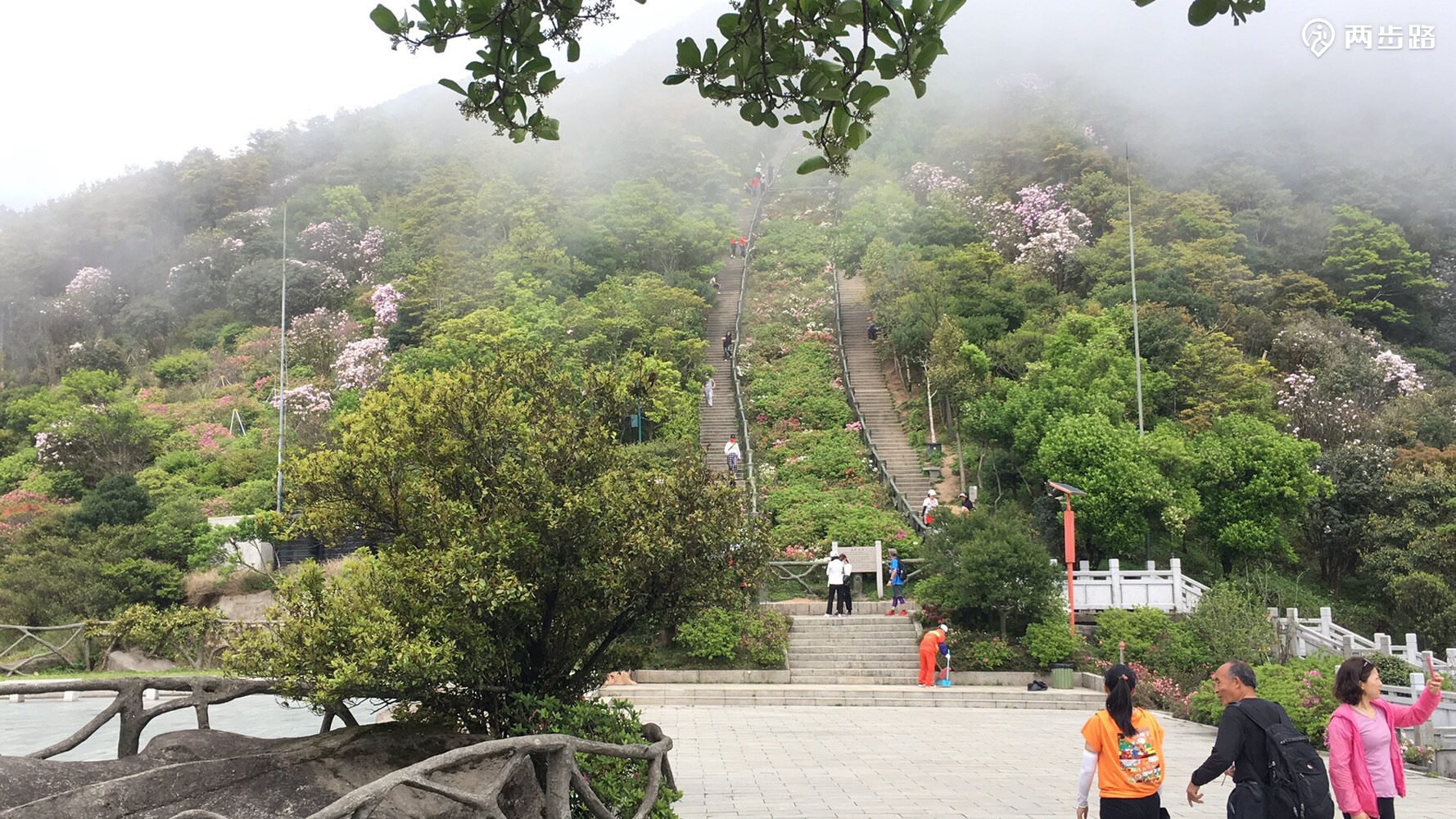 梧桐山凌云道梅沙尖双登