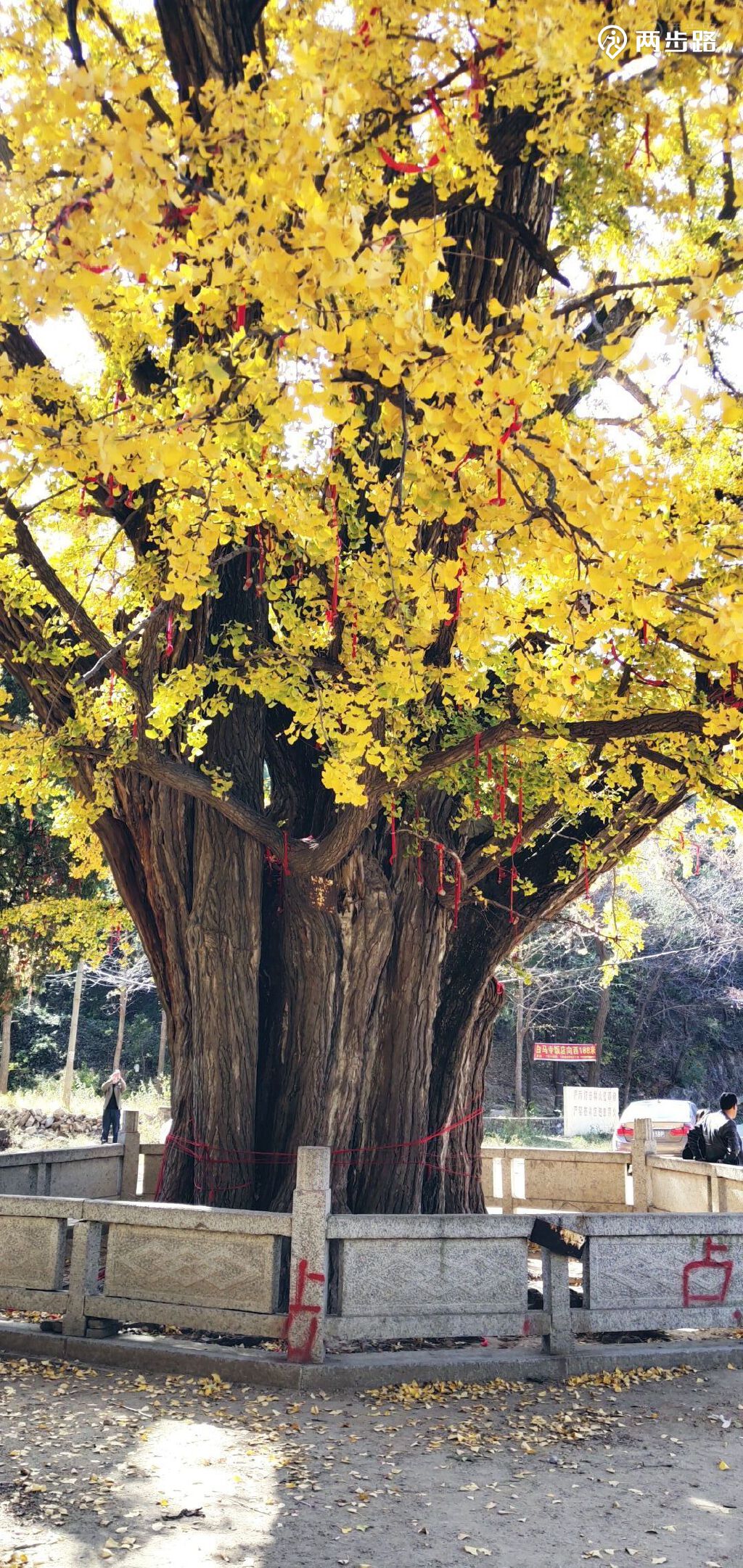 10月31日周六石莱良心谷白马寺赏秋黄半日游