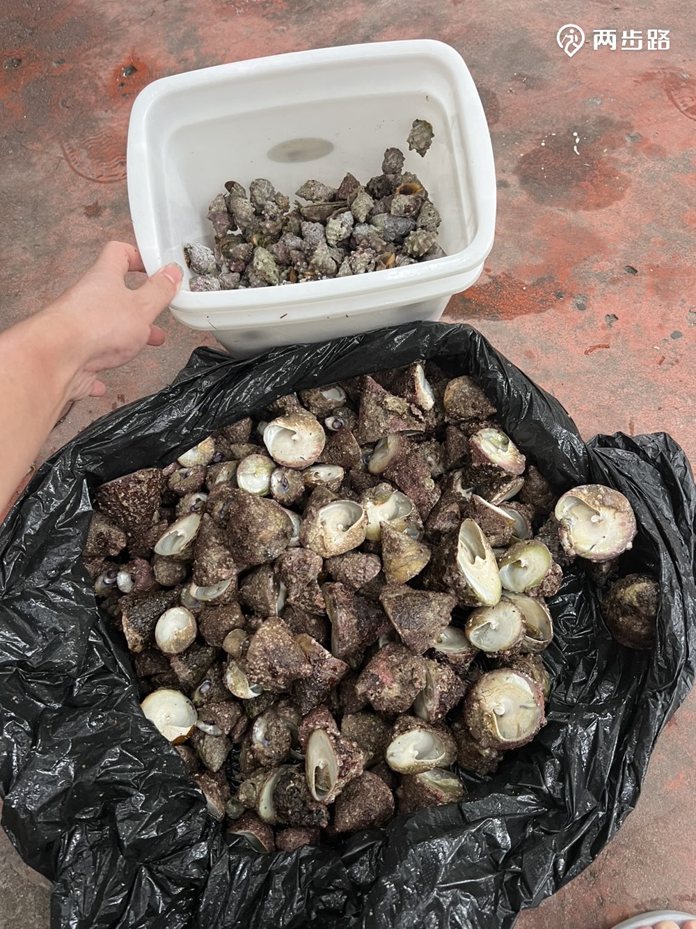 继继继继续上岛搞货拒绝商业纯a