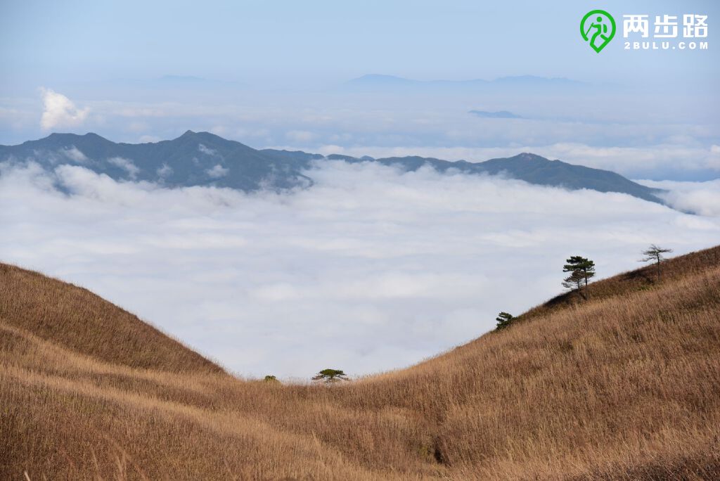 發雲界是武功山七大景區之一,10萬畝高山草甸綿綿於海拔1600多米的